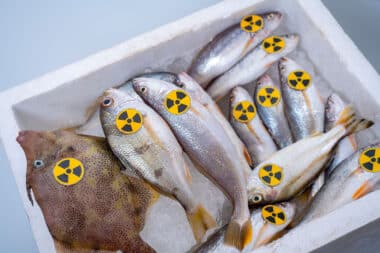 Hidden dangers: radioactive waste in the Atlantic ocean